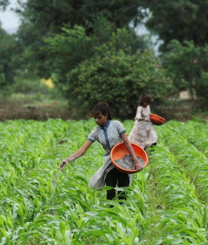 In India, El Nino threatens to bring higher food prices, rate hikes, and a tough election for Modi