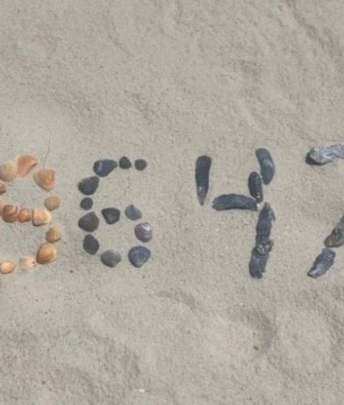 What is ‘86 47’? Sea shell message has ex-FBI director Comey accused of ‘threatening’ Trump