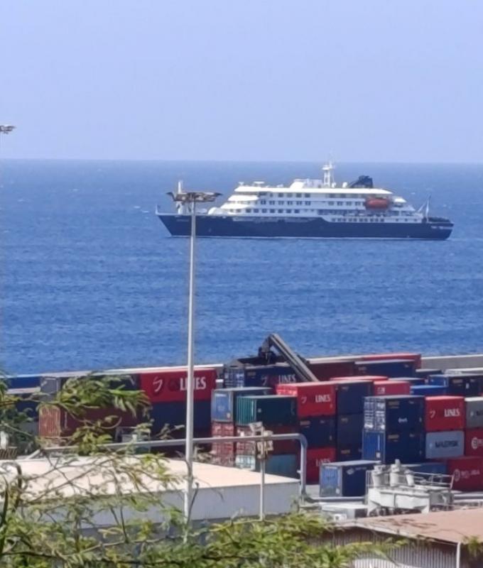 Two cases of hantavirus on ship likely to be rare variant that spreads human-to-human