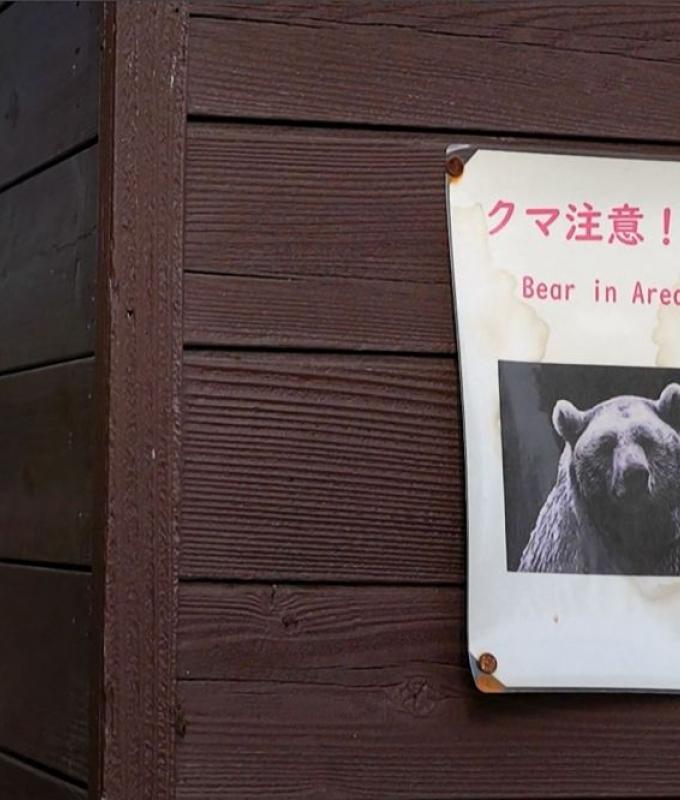 Hungry bears on the prowl: Japan confirms first deadly attack of 2026