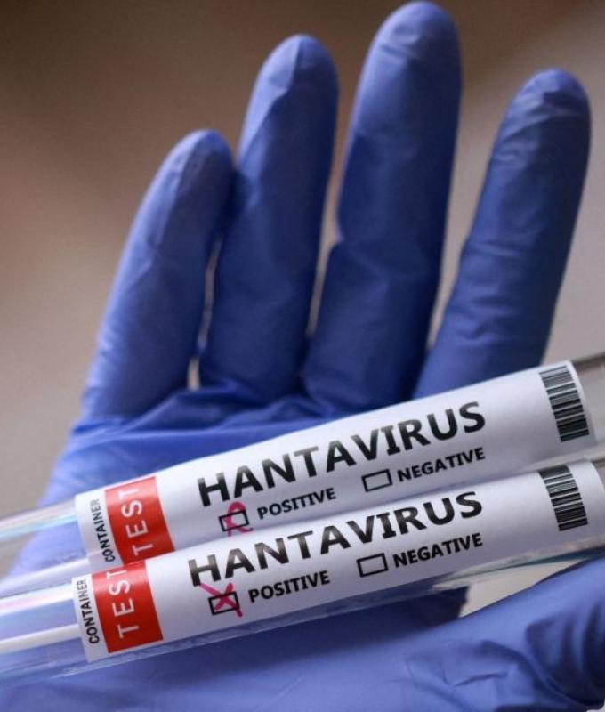 Canadian cruise passenger ‘presumptive positive’ for rare human-to-human hantavirus after MV Hondius outbreak