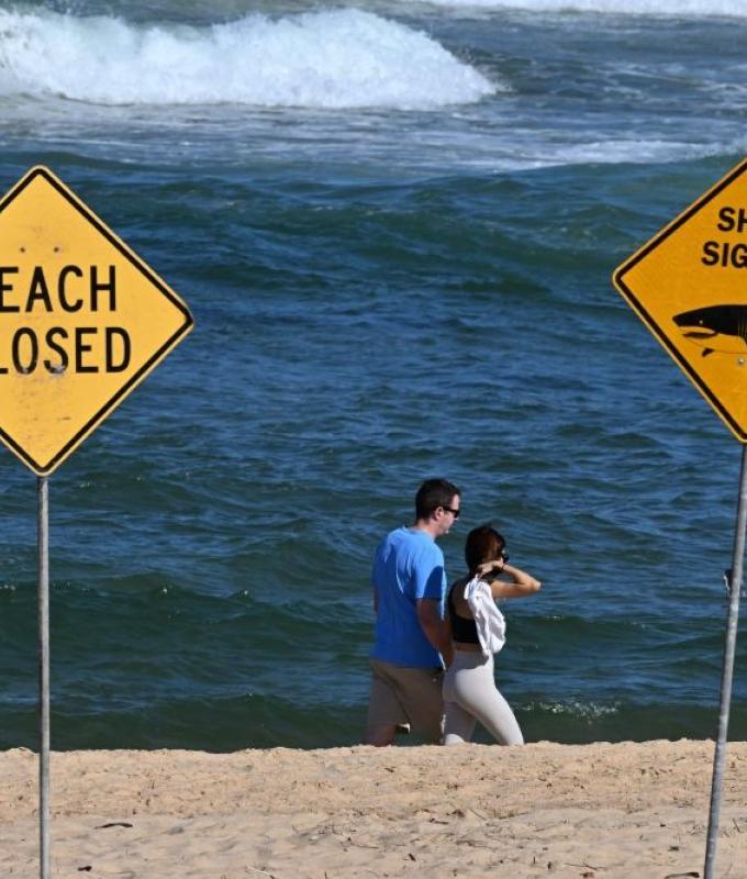 New Zealand surf event halted as sea creature bites photographer