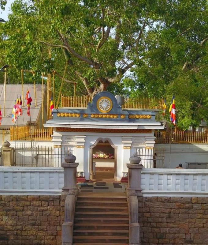 Sri Lanka suspends senior monk accused of child abuse, stripped of sacred Bodhi tree custodianship