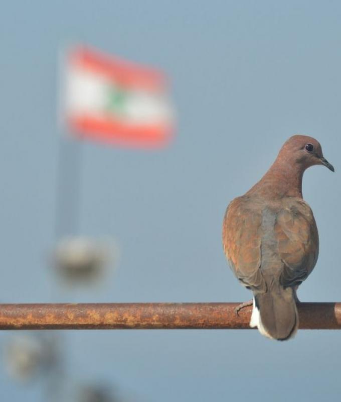 With Unifil’s mandate expiring, Lebanon scrambles for a peacekeeping alternative