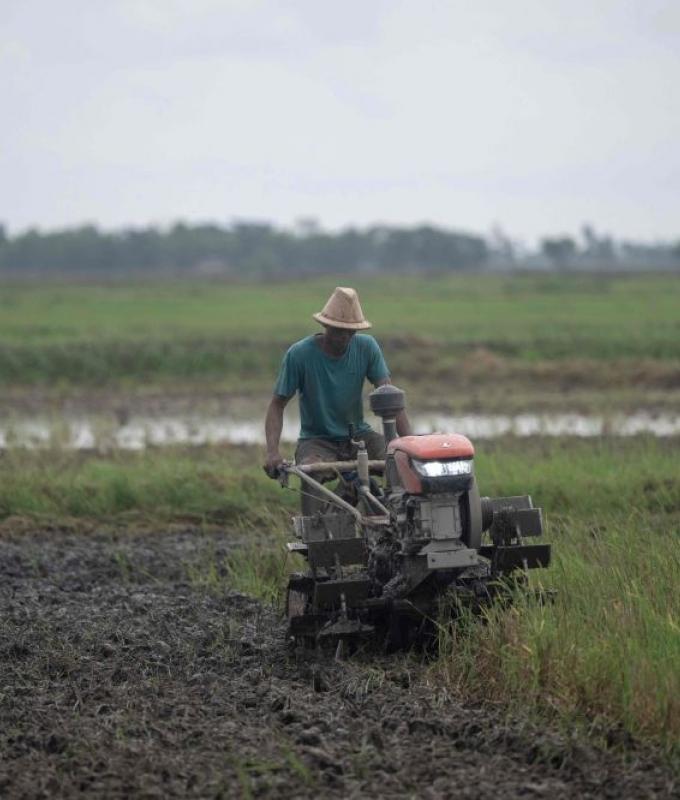 Myanmar rice farmers struggle as fertiliser prices soar and fuel supplies tighten