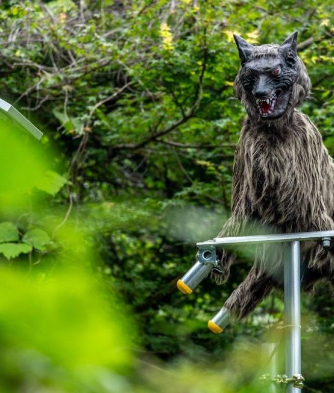 Bear fear grips Japan as authorities deploy cameras and sweet bait after deadly attacks