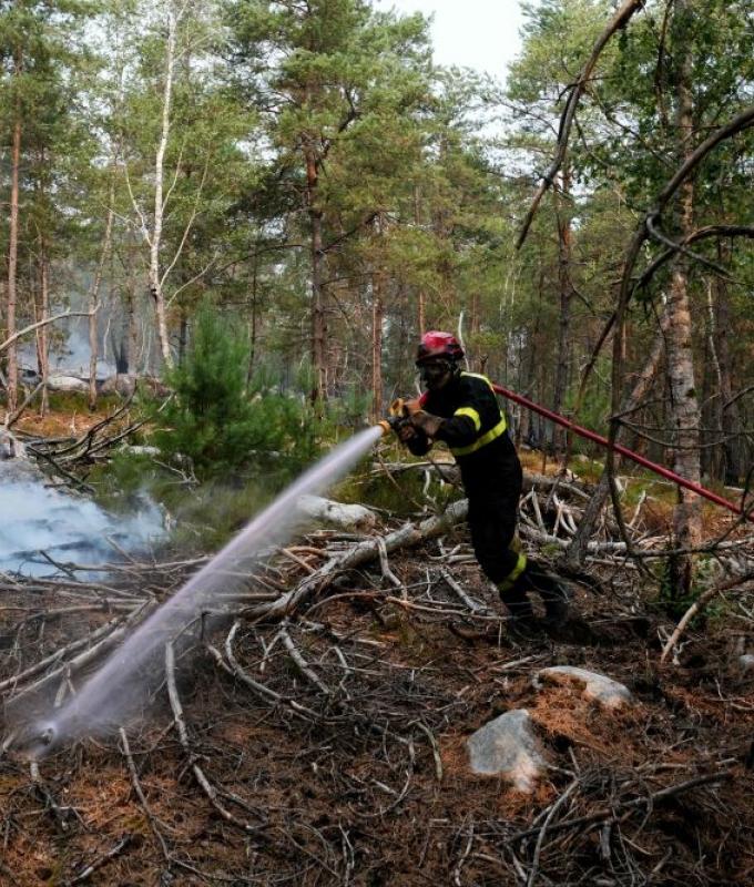 Volunteer firefighter held over suspected blaze in France’s Fontainebleau forest