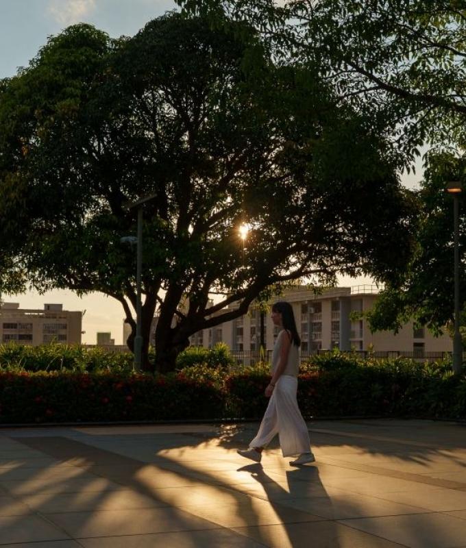 ‘Why didn’t you fight back?’: The question Hong Kong’s sexual assault survivors want banned