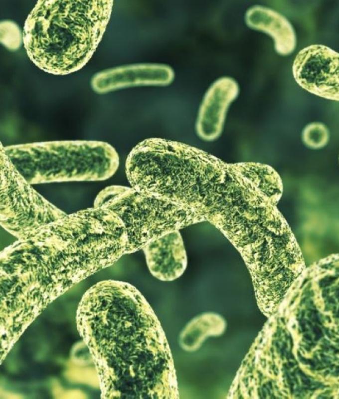 Faecal bacteria found in drinking water as thousands fall ill in North Macedonia outbreak