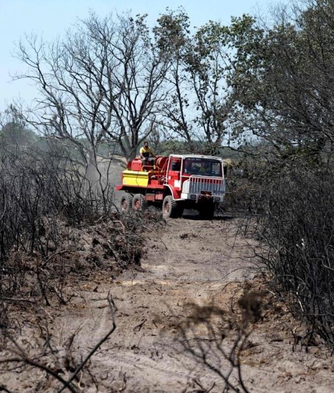 France, Spain evacuate 160,000 as wildfires tear through Bordeaux and Madrid