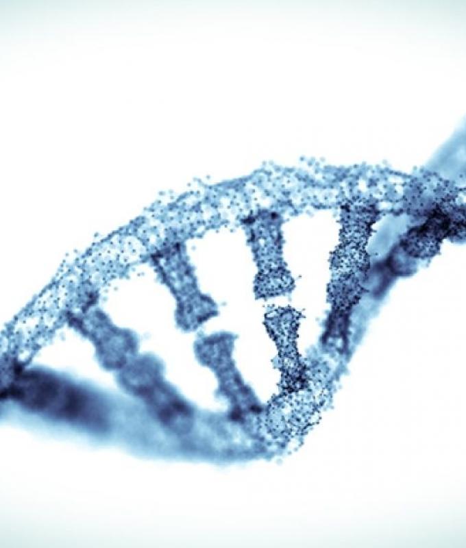Chinese university investigates six‑year‑old’s death allegedly tied to experimental gene‑editing therapy