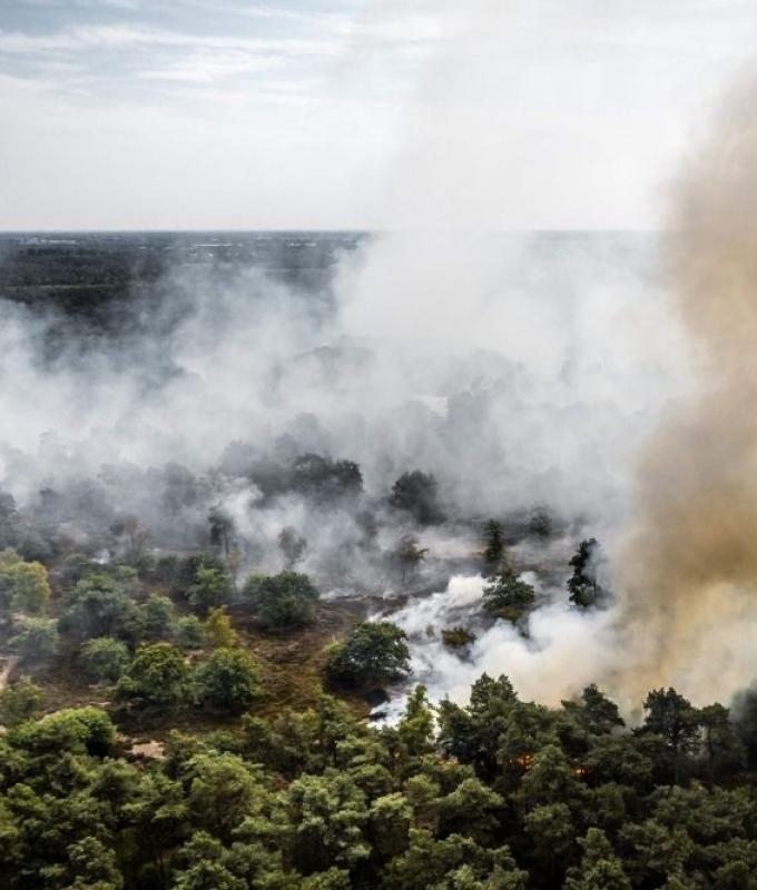Forest fire spreads in Dutch nature reserve