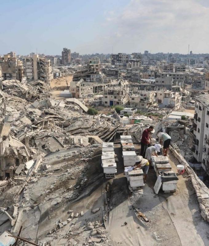 Hamas says still ready to go ahead with Gaza plan