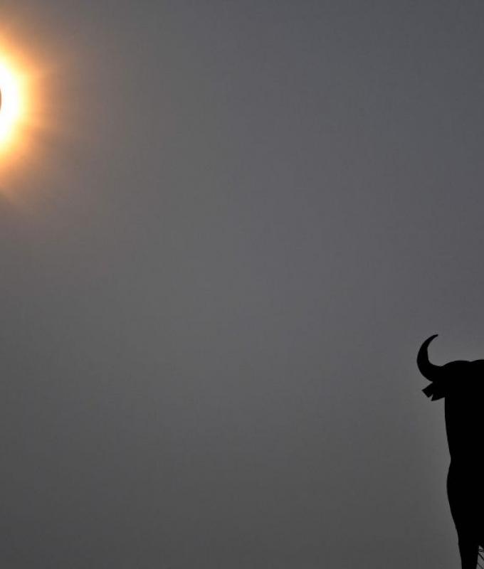 Spain plunged into darkness as rare total solar eclipse sweeps across country