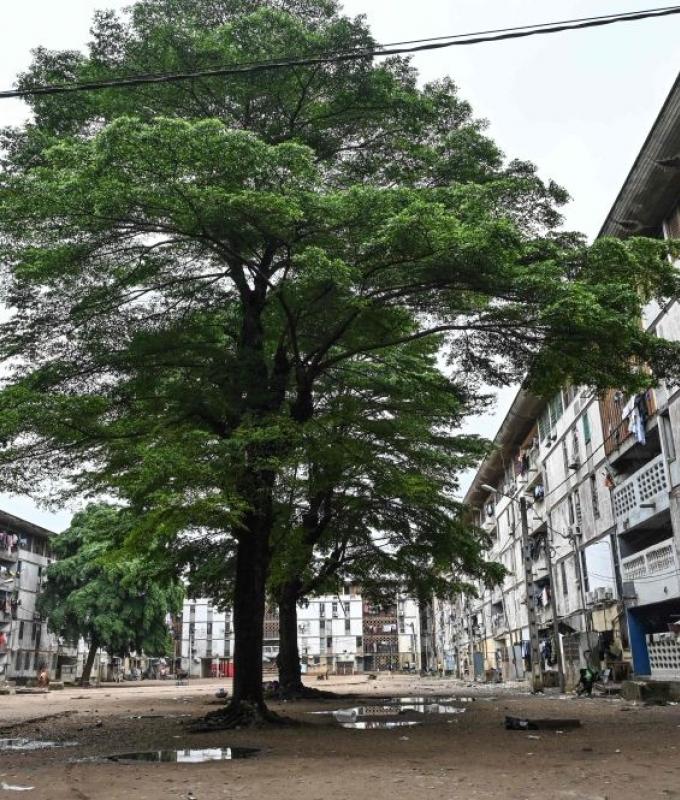 Ivory Coast housing crunch leaves Abidjan home-hunters struggling to keep up