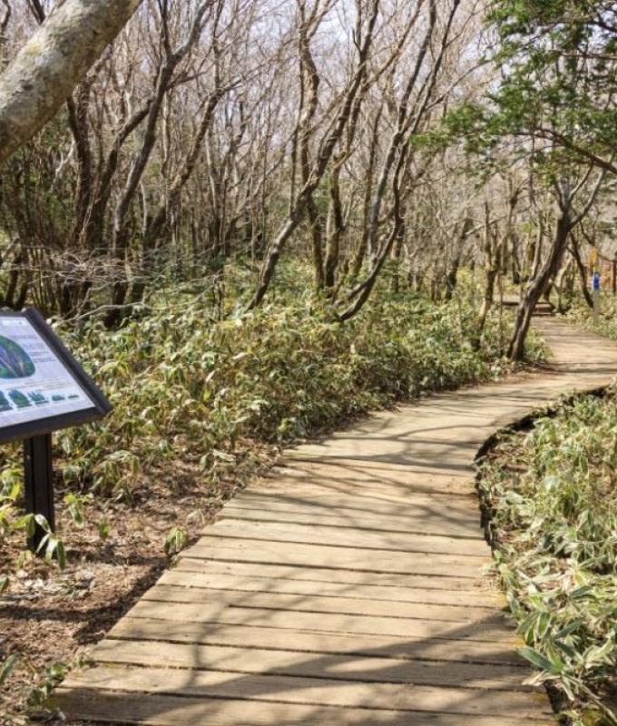 Jeju missing persons scandal: Police say South Korea cop closed missing persons cases to avoid work