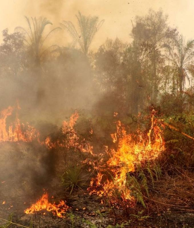 Four killed in Indonesia battling fires causing toxic haze