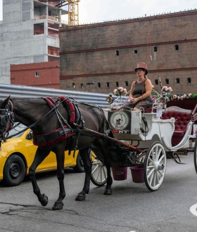 End of the ride? New York moves to ban Central Park horse carriages