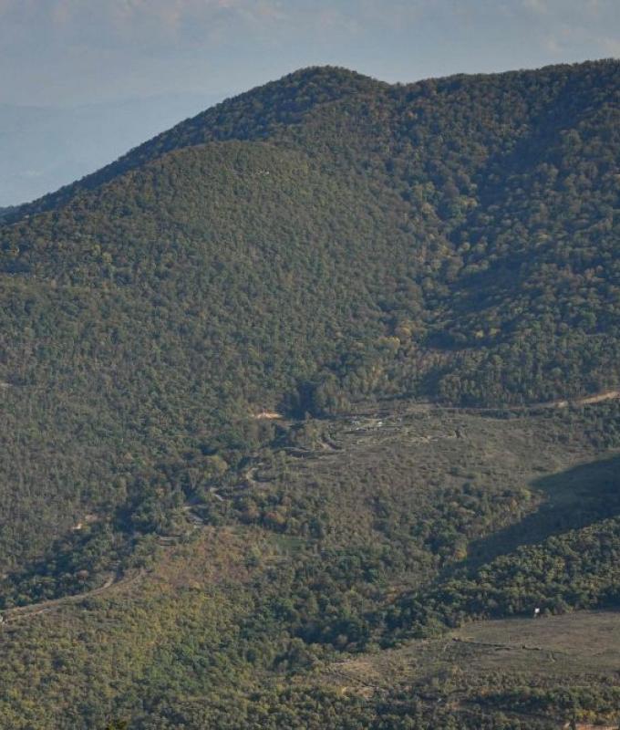 Armenia and Azerbaijan talk peace, but in a border forest, the wounds of war are still raw