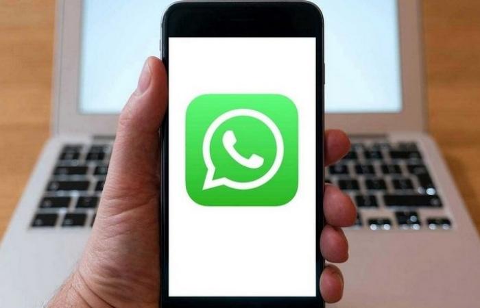 Sharjah - Now, report abuse, violence via WhatsApp in UAE