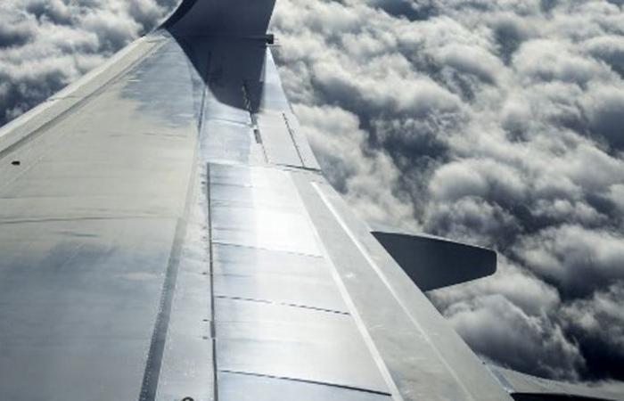 Passenger tries to open plane door mid-air on Gulf flight