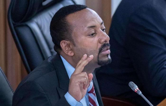 Key ally opposes Ethiopian PM Abiy Ahmed's party merger plan