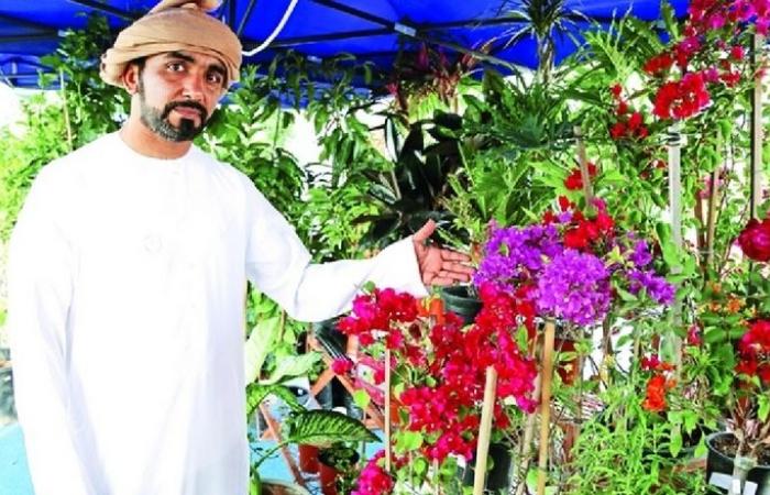 Umm Al Quwain - Emirati to give away 4,600 Ghaf seedlings, flowers for UAE National Day