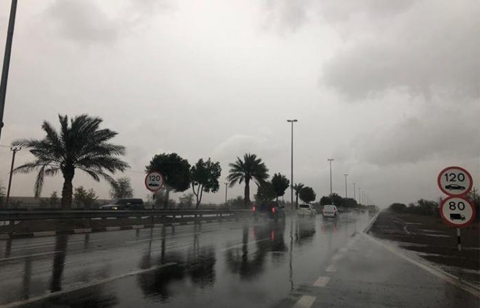 VIDEO: Heavy rain cools down temperature across UAE