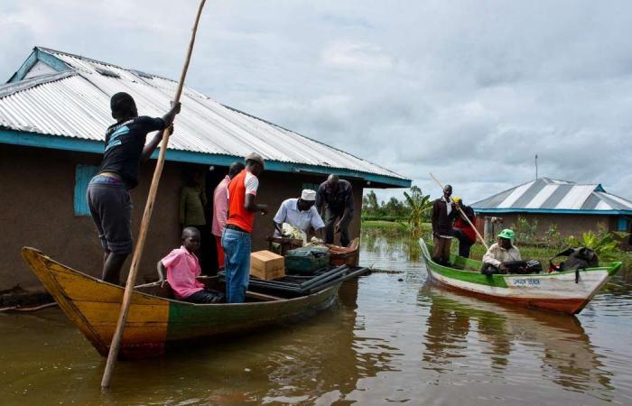 Heavy flooding claims the lives of 22 people in Uganda