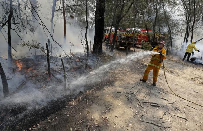 Smoke haze settles over Australian capital as bushfires burn