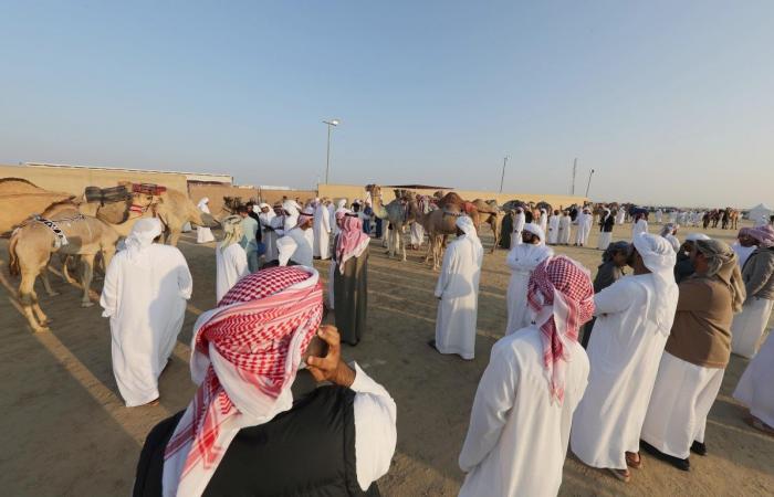 Al Dhafra Festival to showcase cultural and heritage events