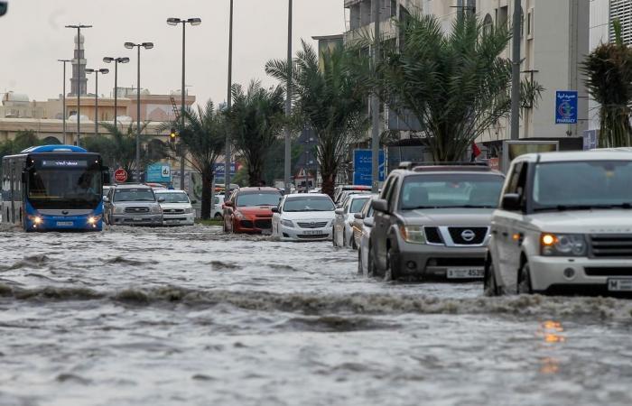 Sharjah - Sharjah, Ajman teams clear rainwater to ensure smooth traffic