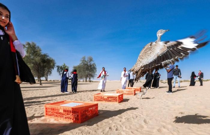 Qatari royals arrested over illegal houbara hunting
