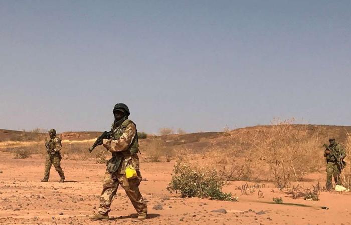 71 soldiers killed in Niger militant attack