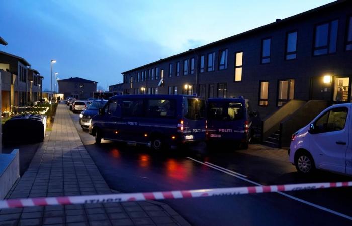 Denmark: Police foil suspected extremist terror attack plans