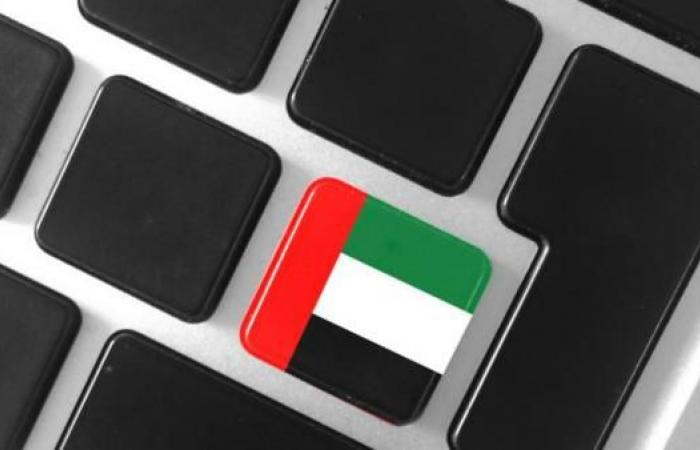 US security agents helped UAE build 'secret spying unit'