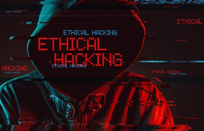 India News - 23-year-old ethical hacker earns Dh38,000 a month