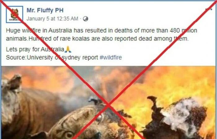 Burned tigers, rescued kangaroos: Australia bushfire disinformation