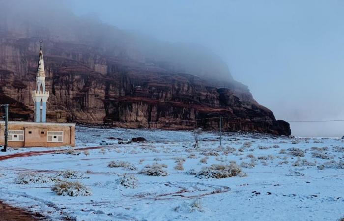 Parts of Saudi Arabia blanketed in snow