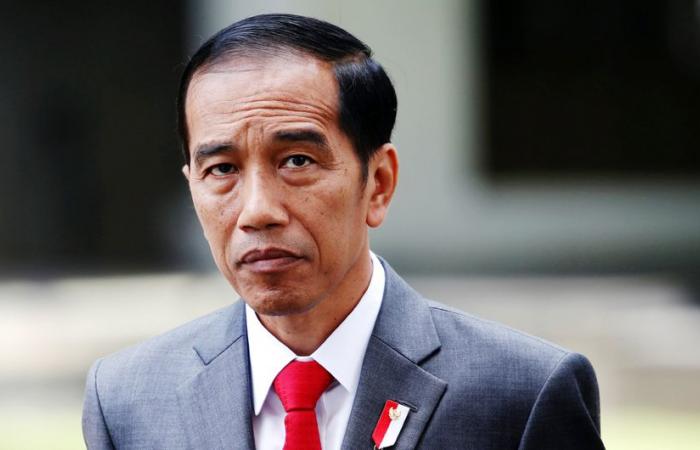 Indonesian president eyes $20bn of investment on UAE trip