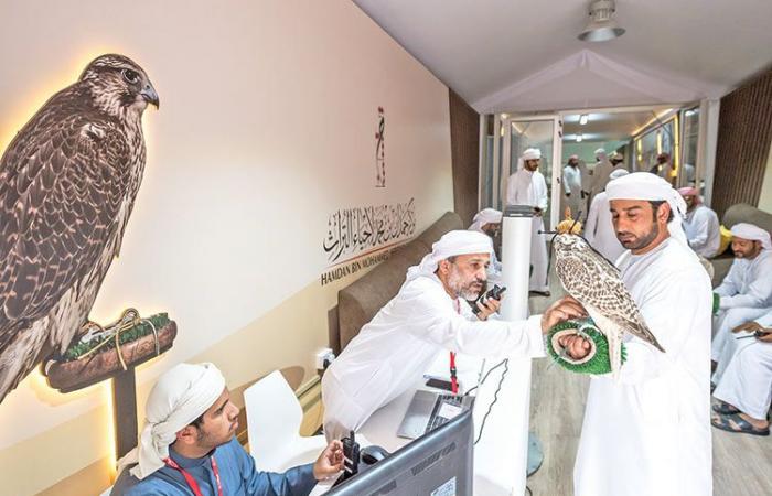 Young Emirati falconers fly high at Fazza Championship