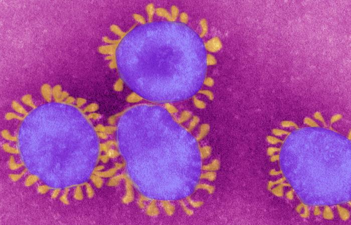 How are Arab countries preparing for coronavirus?