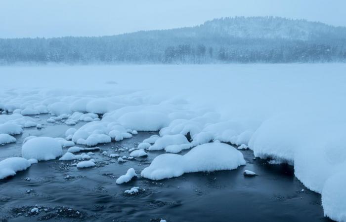 Arctic ‘security vacuum’ increases risk of regional conflict, EU ambassador warns