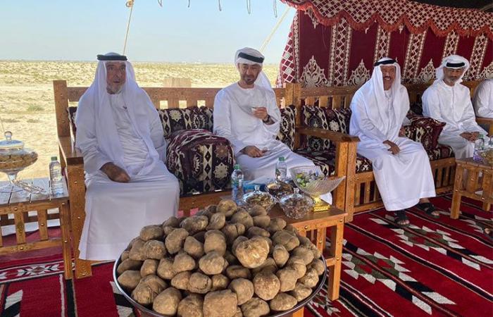 VIDEO: Sheikh Khalifa, Sheikh Mohamed Bin Zayed tour Abu Dhabi’s protected forest Ghanada