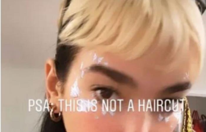 Dua Lipa says her new style is just 'bleached breakage'