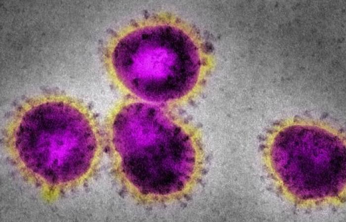 Saudi Arabia, Tunisia and Jordan record first coronavirus cases