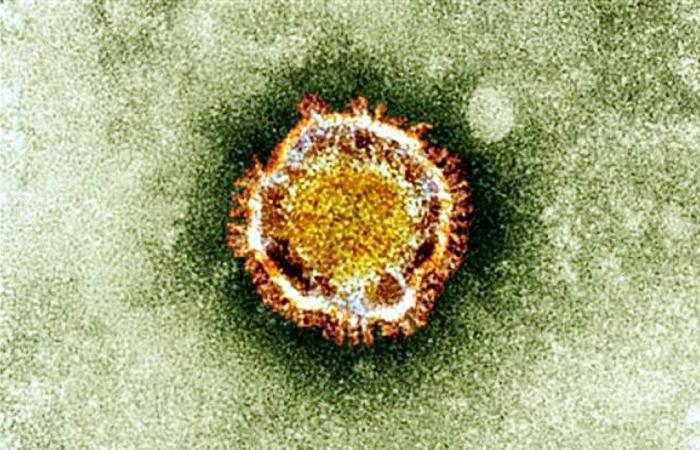 Saudi Arabia detects second coronavirus case