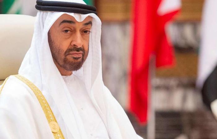 UAE celebrates Sheikh Mohamed bin Zayed's birthday