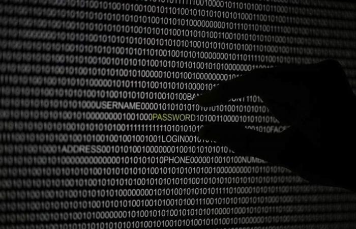 Estonia rolls out hacker innovations in virus fight