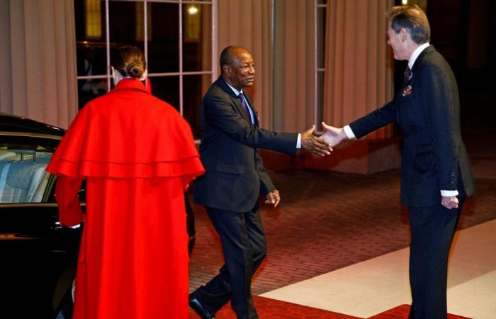 Guinean president announces virus curfew